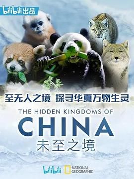 未至之境 版
