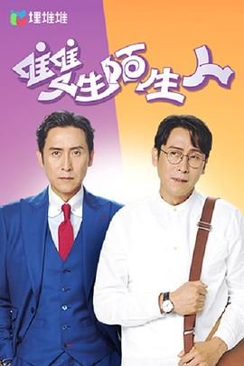 双生陌生人 版