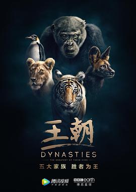 王朝第一季 英文版