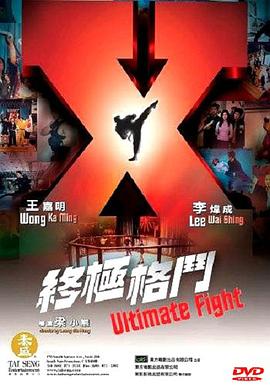 终极格斗（）