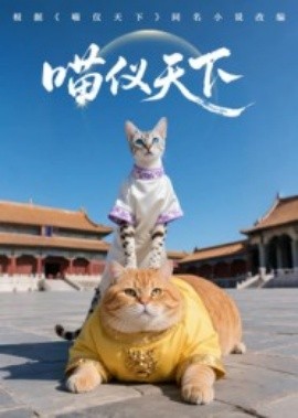 喵仪天下