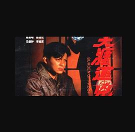 天涯追凶