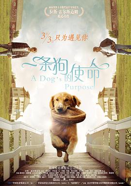 一条狗的使命（）