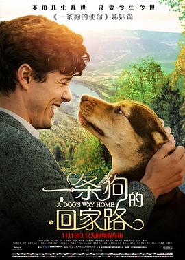 一条狗的回家路（）
