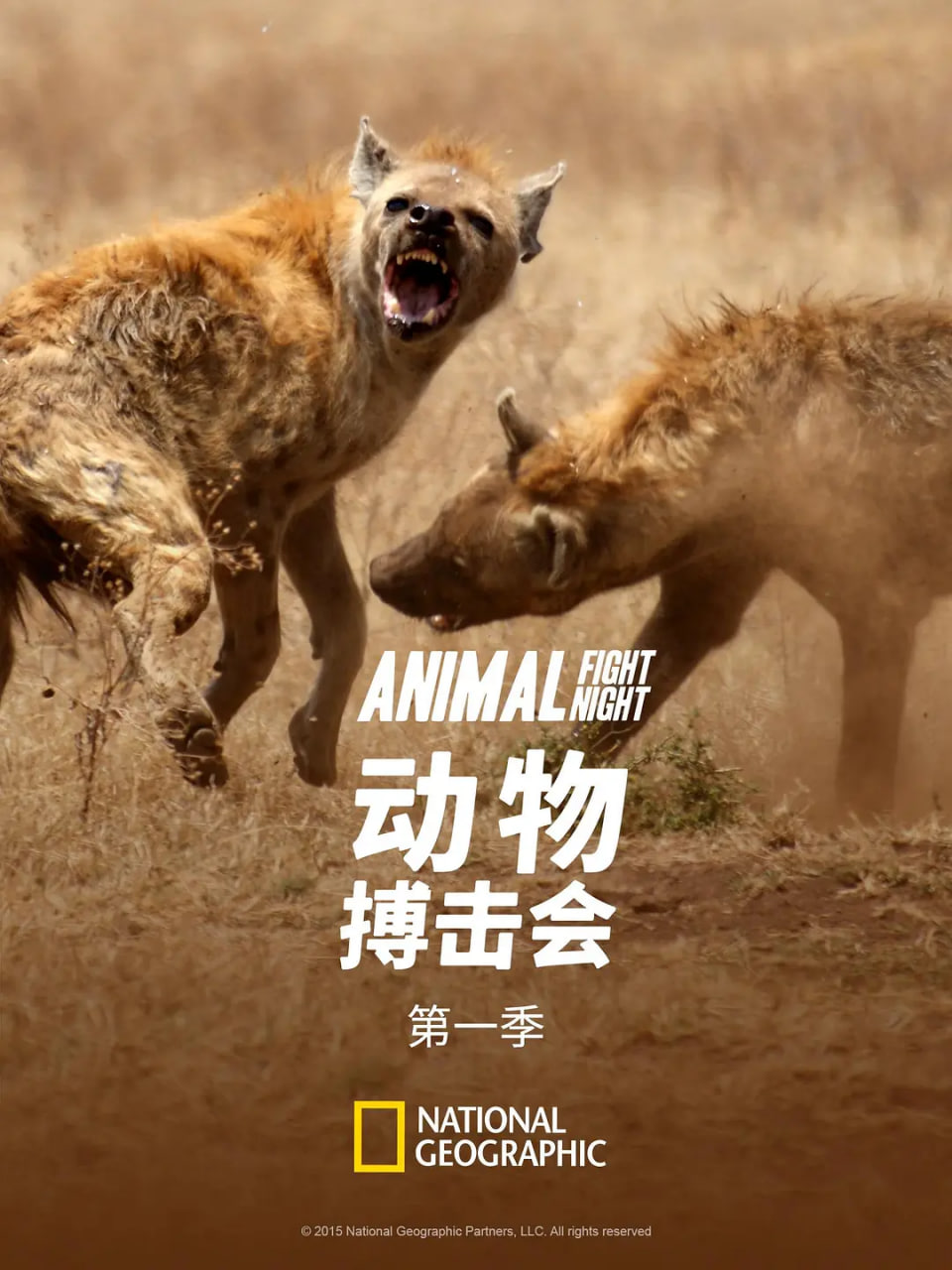 动物搏击会第一季