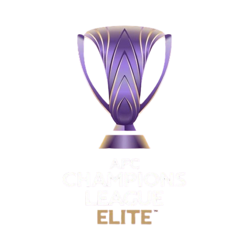 亚冠精英联赛阶段 沙迦VS纳萨夫20260217