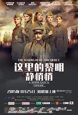 这里的黎明静悄悄2015[电影解说]