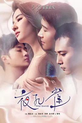 夜孔雀[电影解说]