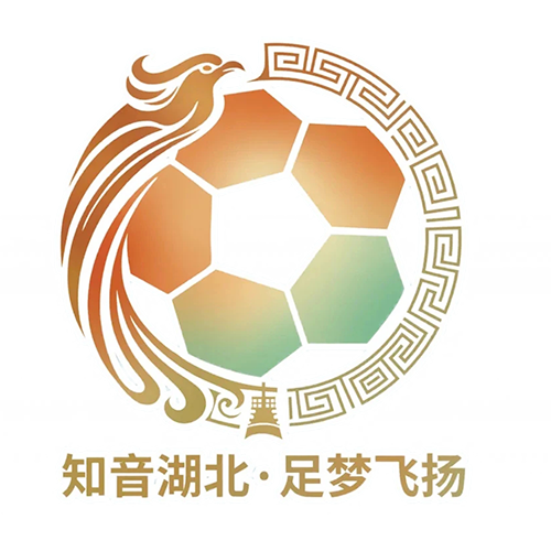 湖北省城市足球联赛 宜昌东阳光队VS孝感孝傲江湖队20260418
